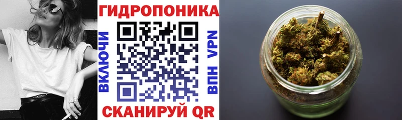 Марихуана семена  Полярные Зори 